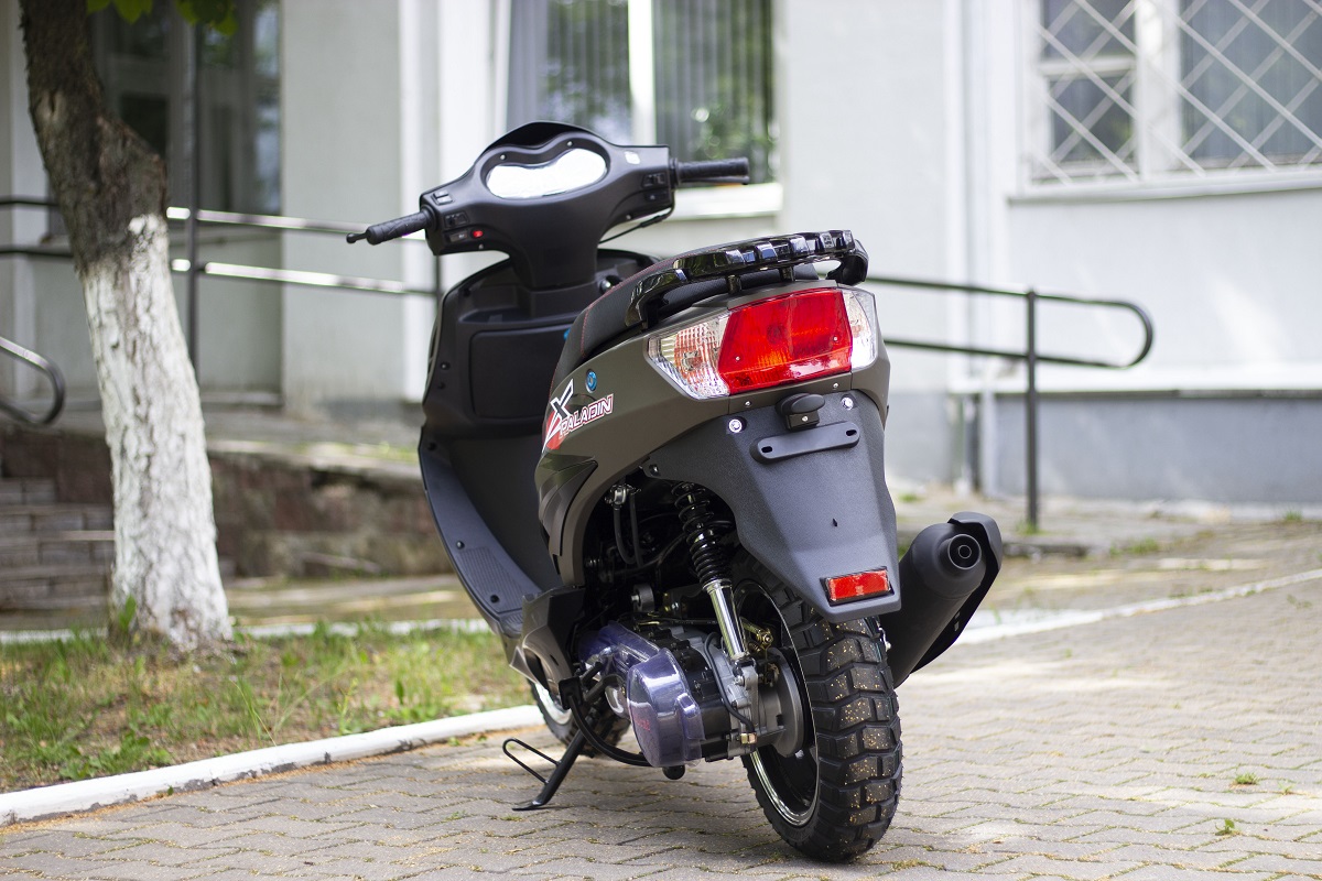 Скутер MotoLand Paladin 150 общий вид