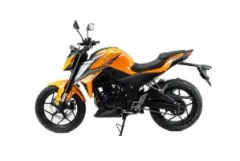 Дорожный мотоцикл MotoLand DF BIG BORE 300