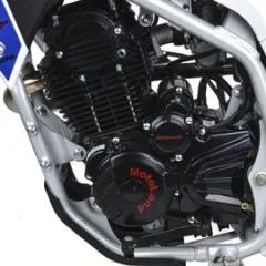 Кросс MotoLand MTX 250 — особенности, фото 1