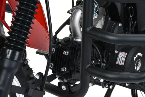 Мопед MotoLand Forester RS 11