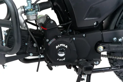 Мопед MotoLand ALPHA RS LUX 11