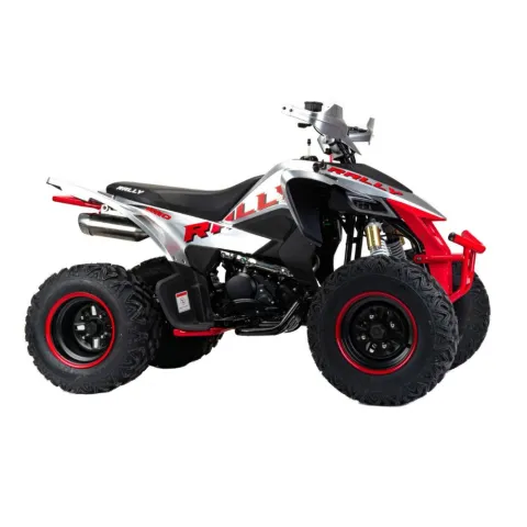 Комплект запчастей Motoland Rally 250cc — особенности, фото 4