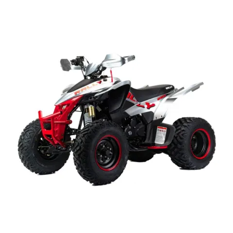 Комплект запчастей Motoland Rally 250cc — особенности, фото 1