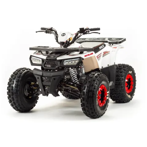 Комплект запчастей MOTOLAND WILD Basic 125cc — особенности, фото 1