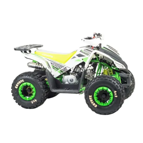 Комплект запчастей MotoLand Coyote 125cc — особенности, фото 2