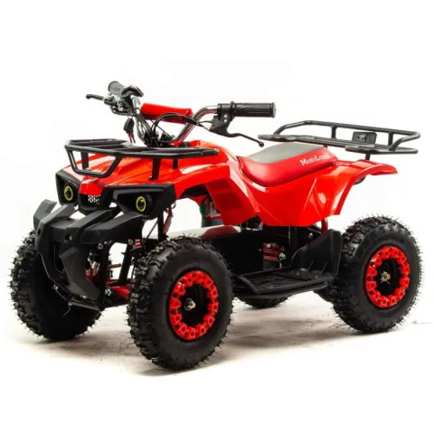 Квадроцикл Motoland ATV E009 1000Вт — особенности, фото 4