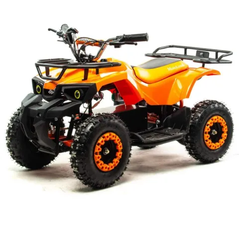 Квадроцикл Motoland ATV E009 1000Вт — особенности, фото 3
