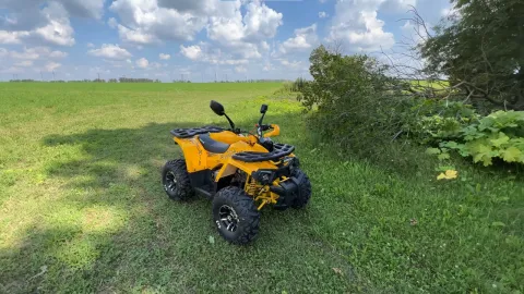 Опыт эксплуатации Motoland Wild X PRO 125cc — идеальный подростковый квадроцикл