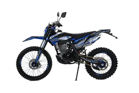 Мотоцикл Кросс Motoland XT300 HS 175FMM (PR5) ПТС — особенности, фото 1