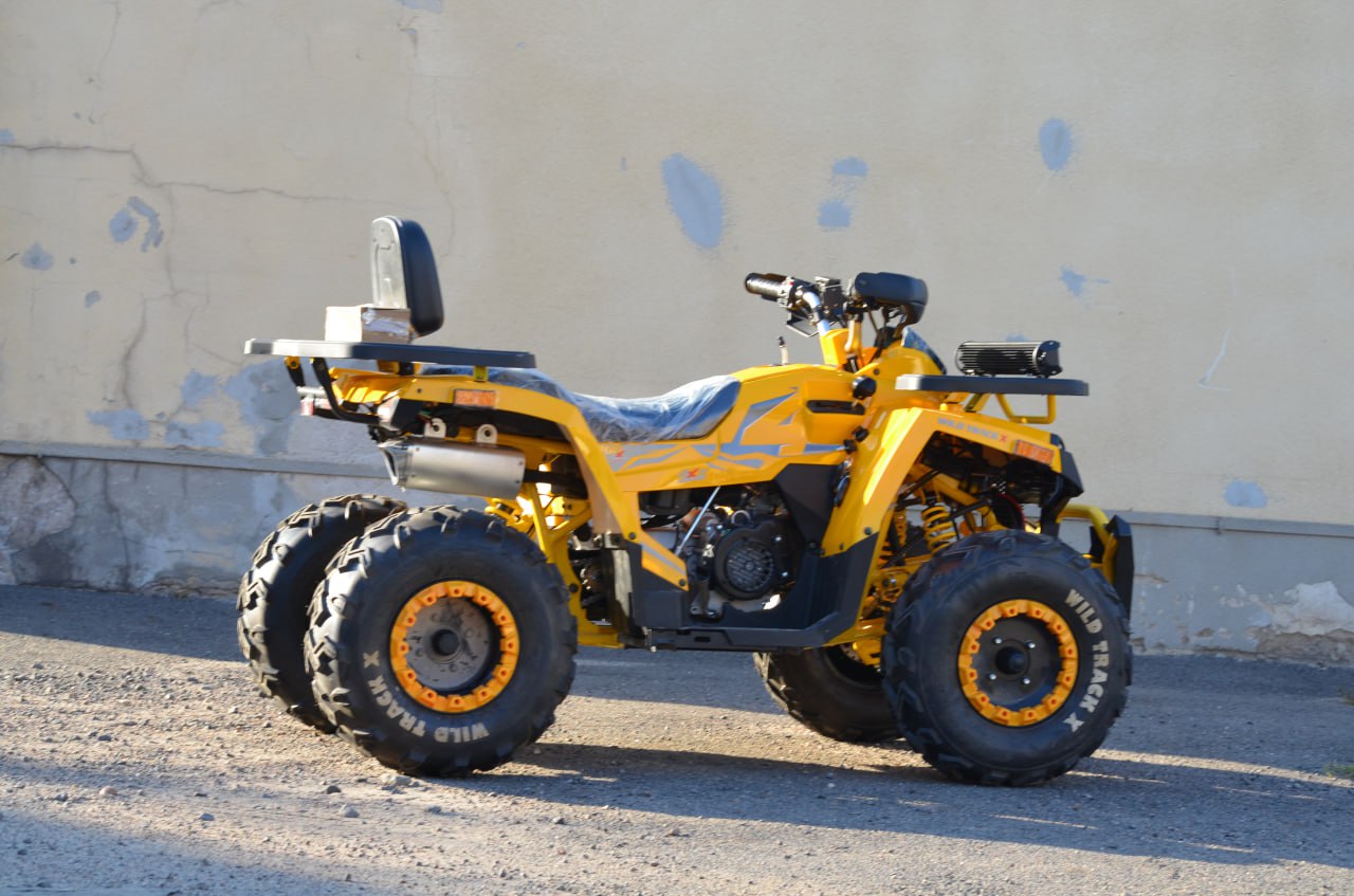 Испытания квадроцикла Motoland 200 WILD TRACK X WINCH — грязь, лес и песок